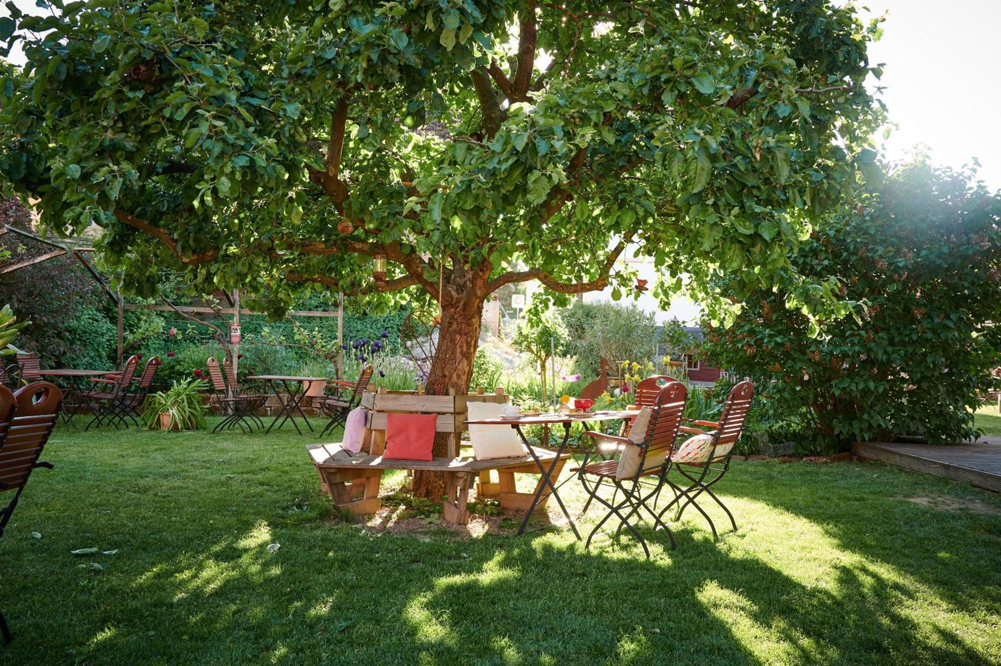 Apartmán Winzercafe Neipperg Brackenheim Exteriér fotografie